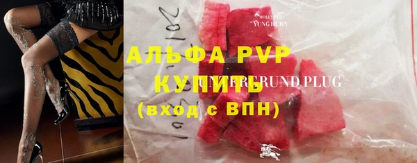 сатива Белокуриха