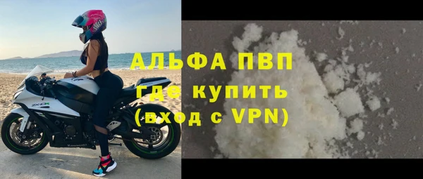 сатива Белокуриха
