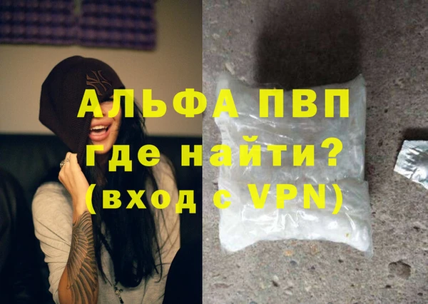 сатива Белокуриха