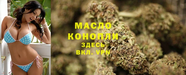 сатива Белокуриха