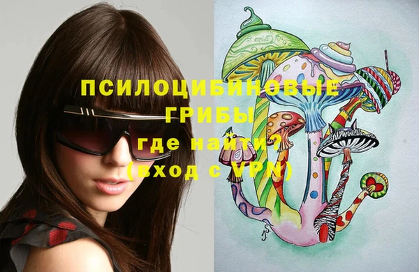 сатива Белокуриха